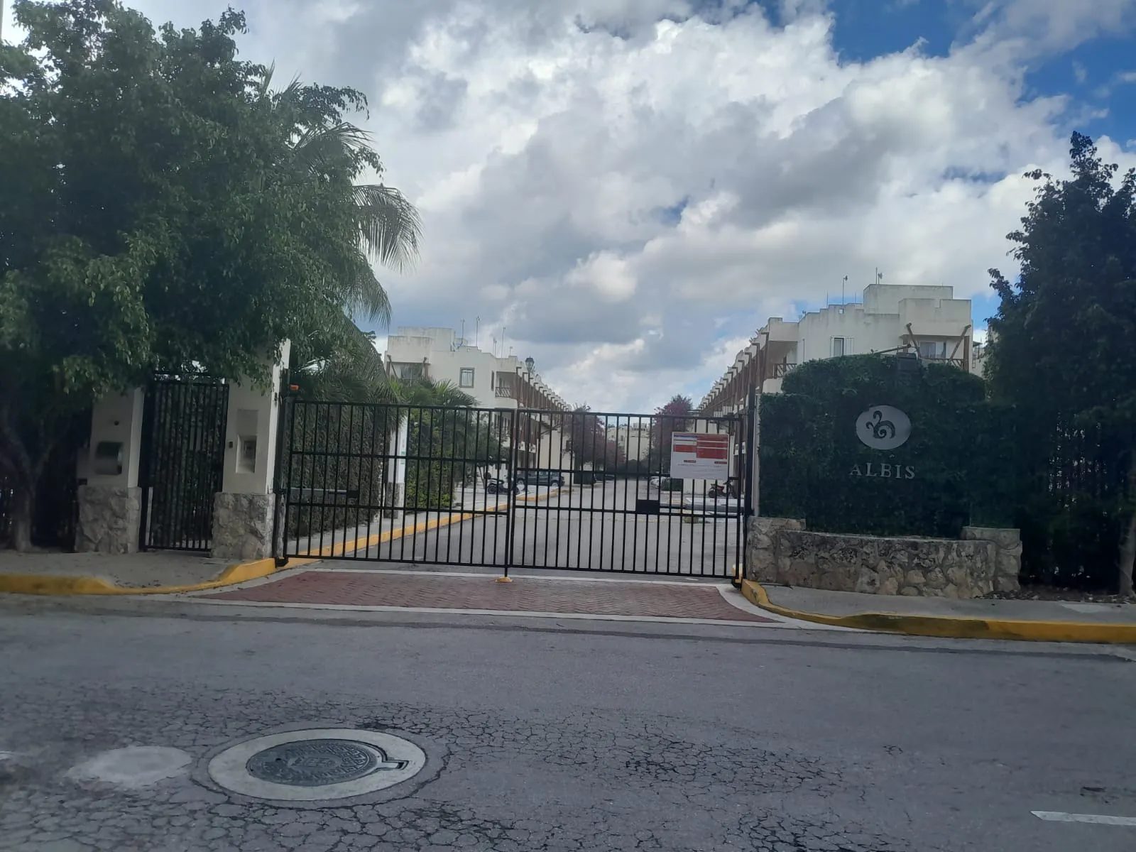 video image